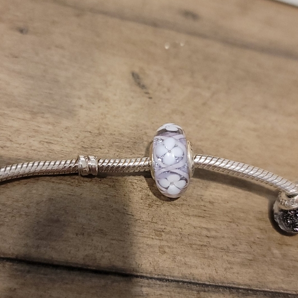 NWOT Authentic Pandora Bracelet and Charms - Picture 5 of 8